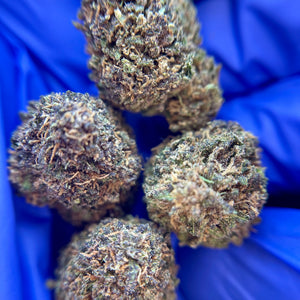 COUNTRY SKUNK | HIGH GRADE CBD | Culture Organique par "ALPINE CALI"