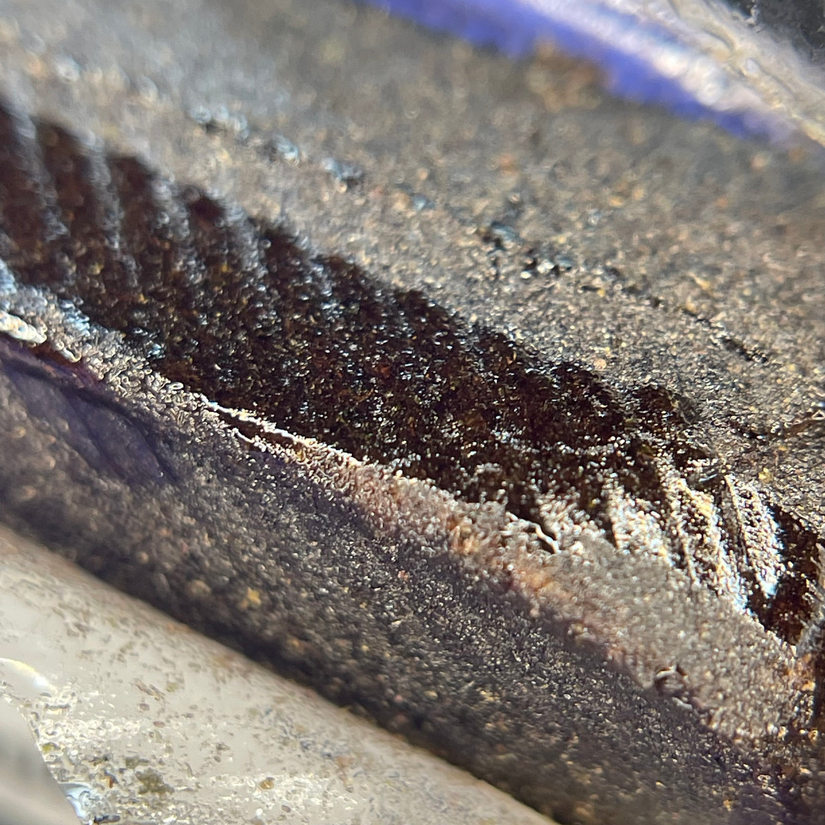 GASOLINE, résine CBD — détail de la surface et de la texture