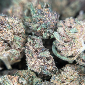 COUNTRY SKUNK | Culture Sur Sol Vivant par "ALPINE CALI"