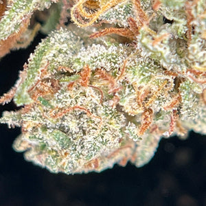 SKUNK JAM | HIGH GRADE CBD | Light Dep Culture | Collab Les Plantes de Tomine x Terpz en Herbe