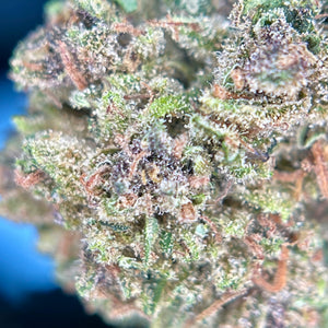 GUMYZ | HIGH GRADE CBD | Light Dep Culture | Collab Les Plantes de Tomine x Terpz en Herbe