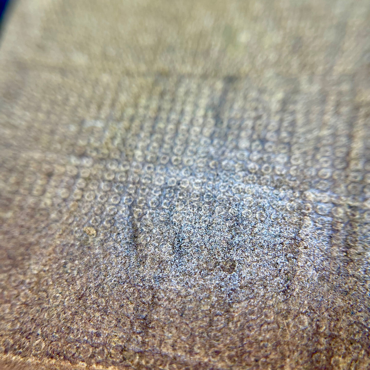 LEMON CHERRY, résine CBD — détail de la surface et de la texture