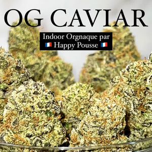 OG CAVIAR | HIGH GRADE CBD | Cultivée en Indoor Organique par “Happy Pousse”