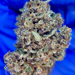 RAINBOW SHERBET | HIGH GRADE CBD | Cultivée en Indoor Organique par "APEX CBD"