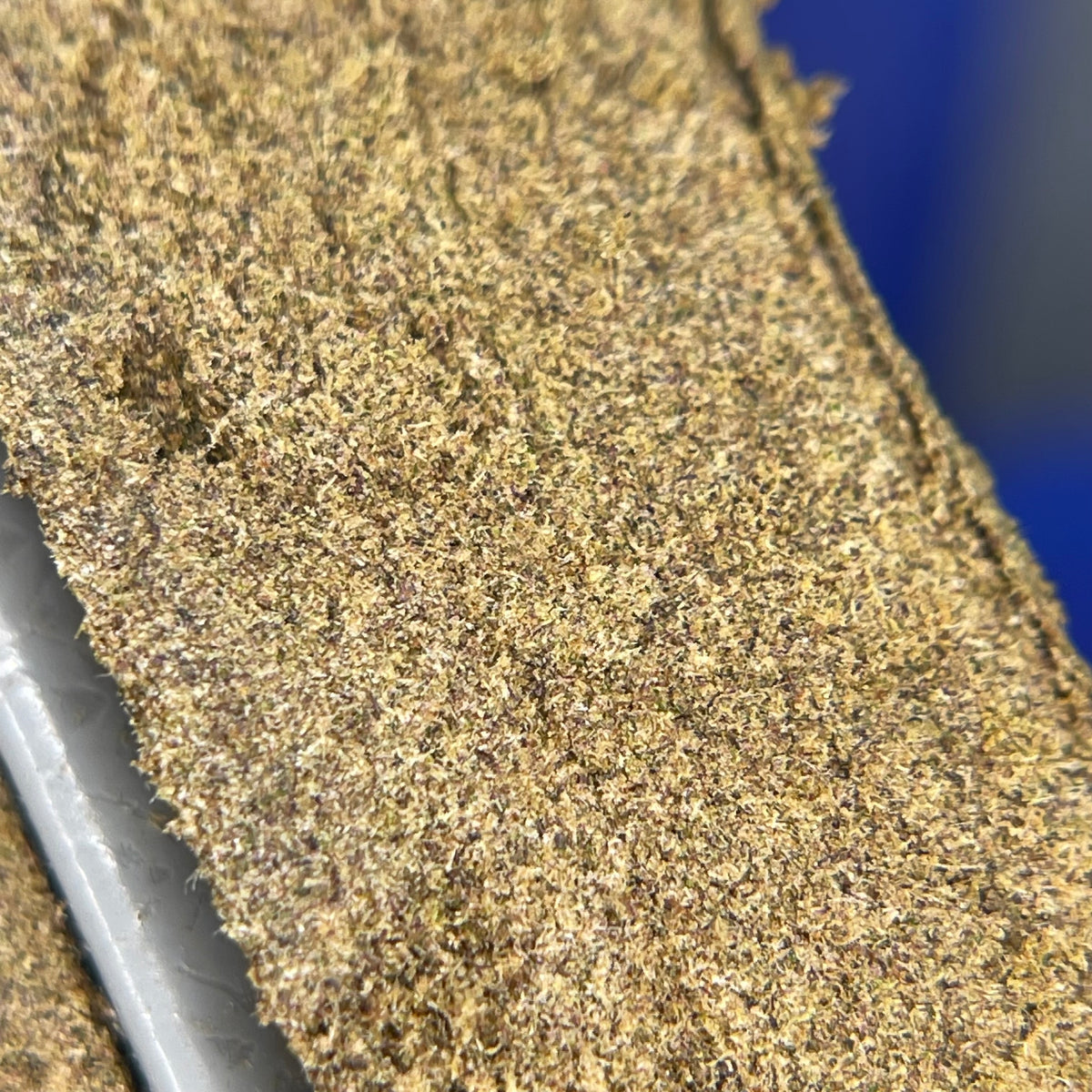 ORANGE SORBET STATIC CBD 35%, résine CBD — détail de la surface et de la texture