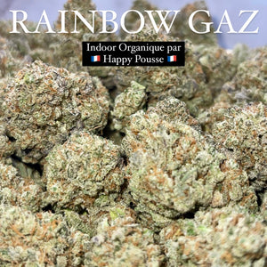 RAINBOW GAZ | HIGH GRADE CBD | Cultivée en Indoor Organique par “Happy Pousse”