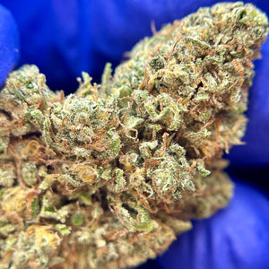 SKUNK JAM | HIGH GRADE CBD | Light Dep Culture | Collab Les Plantes de Tomine x Terpz en Herbe