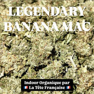 LEGENDARY BANANA MAC | HIGH GRADE CBD | Cultivée en Indoor Organique par "La Tête Française" | Baby Buds