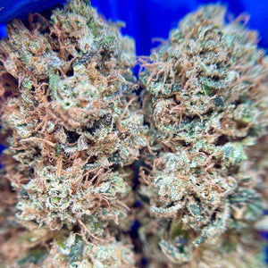 LEMON SOUFFLE | HIGH GRADE CBD | Cultivée en Indoor Organique par “Happy Pousse”