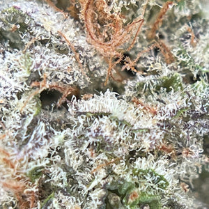 DARK SAPHIR | HIGH GRADE CBD | Cultivée en Indoor Organique par “Happy Pousse”