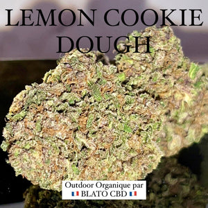 LEMON COOKIE DOUGH | HIGH GRADE CBD | Culture Organique par “BLATO CBD"