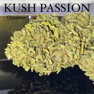 KUSH PASSION | Fleur de chanvre Française haute qualité | "Cannacie" | Outdoor BIO