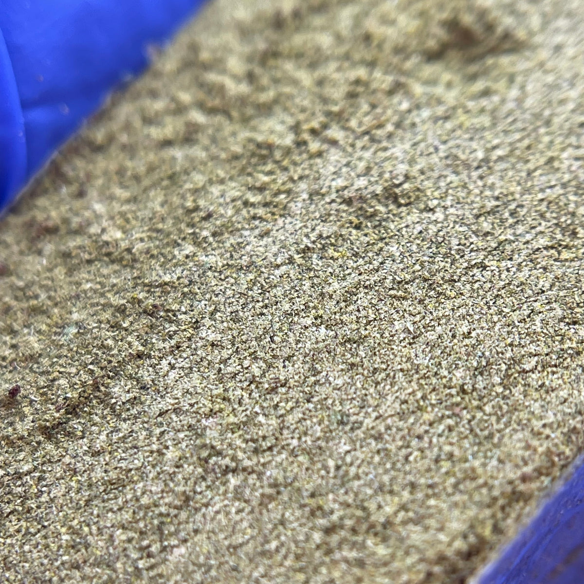 DYNAMITE DIESEL | Pure Drysift CBD Fabriqué en France par "CBD Maker"/ "El Professor"
