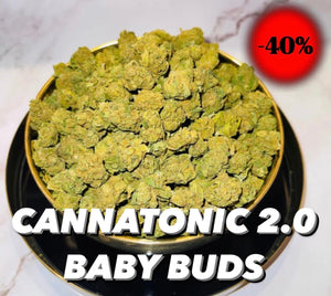 BON PLAN Cannatonic 2.0 CBD| Baby Buds | Fleur de CBD haute qualité | Indoor